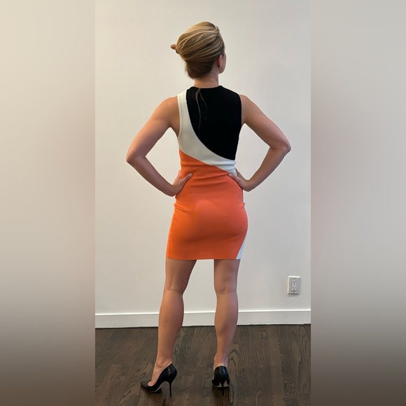 Torn by Ronny Kobo bodycon dress, size 0 - Picture 6 of 7